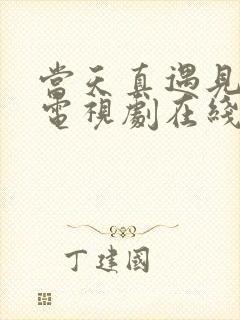 当天真遇见爱情电视剧在线观看