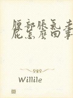 腹部胀气老是放屁怎么回事封面