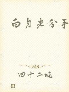 白月光分手日常封面