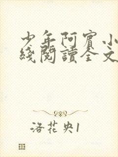 少年阿宾小说在线阅读全文无删减