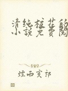 清纯校花的堕落小说免费阅读无弹窗