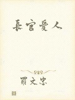 长官爱人