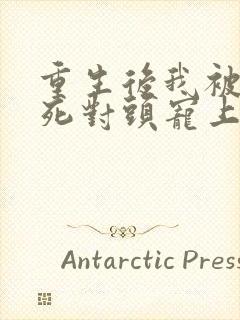 重生后我被渣男死对头宠上天完整版