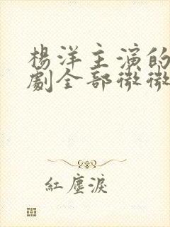 杨洋主演的电视剧全部微微一笑很倾城封面