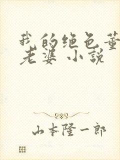 我的绝色董事长老婆 小说