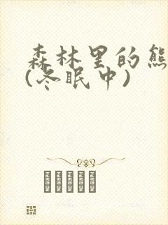 森林里的熊先生(冬眠中)