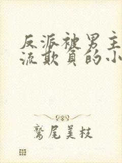 反派被男主们轮流欺负的小说