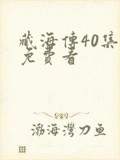 藏海传40集全免费看