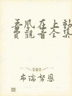 吾凰在上动漫免费观看全集完整版