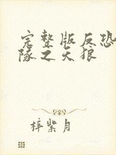 完整版反恐特战队之天狼封面