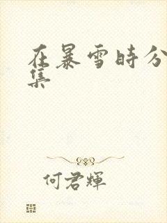 在暴雪时分有几集