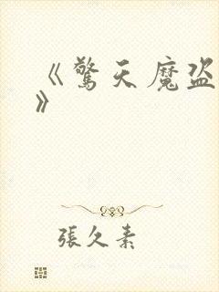 《惊天魔盗团2》封面