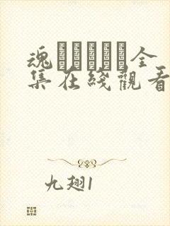 魂ィンサート全集在线观看