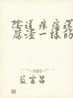 阴道痒痛还有豆腐渣一样的东西