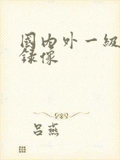 国内外一级黄色录像