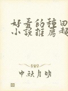 好看的种田修仙小说推荐超经典封面