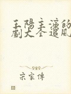 王阳主演的电视剧大全追风者在线观看