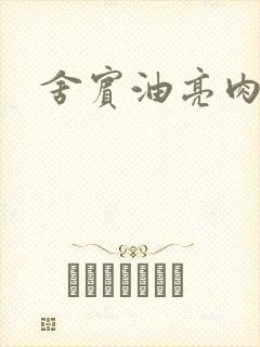 舍宾油亮肉丝袜