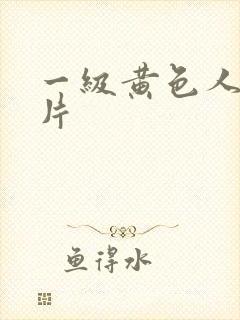 一级黄色人与兽片