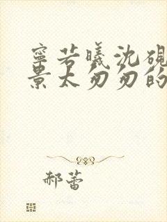 宁若曦沈砚舟盛景太匆匆的小说