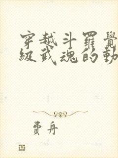 穿越斗罗觉醒神级武魂的动画封面