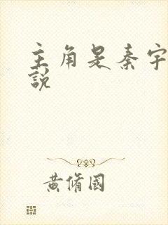 主角是秦宇的小说