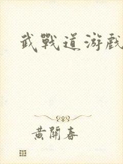 武战道游戏