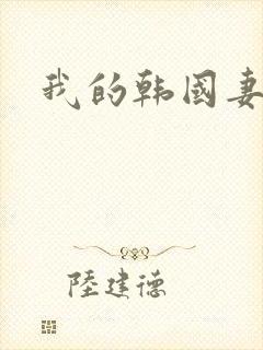 我的韩国妻子