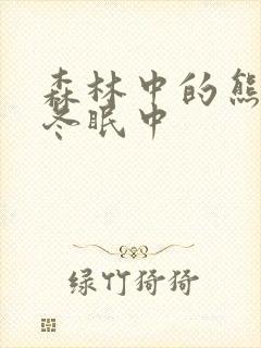 森林中的熊先生冬眠中封面