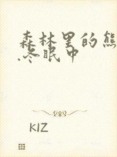 森林里的熊先生.冬眠中