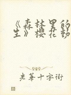 《森林里的熊先生》樱花动漫