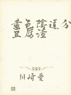 黄色阴道分泌物豆腐渣