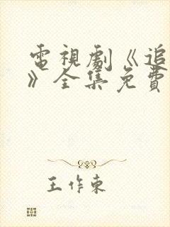 电视剧《追击者》全集免费播放