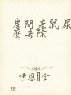 房间老鼠尿味怎么去除