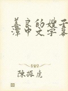 善良的嫂子李采潭中文字幕封面