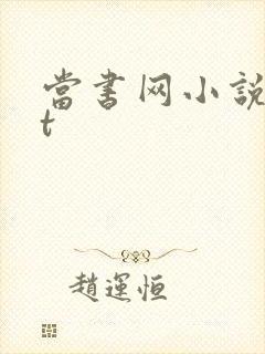 当书网小说txt封面