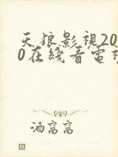 天狼影视2020在线看电视剧
