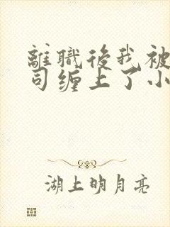 离职后我被前上司缠上了小说无删减