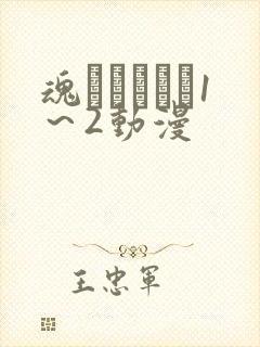 魂インサート1～2动漫