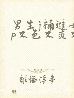 男生j桶进女人p又色又爽又黄