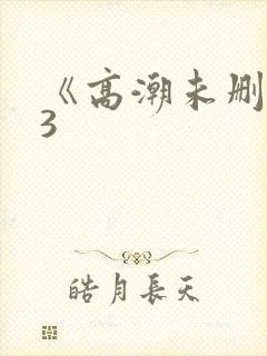 《高潮未删减》3