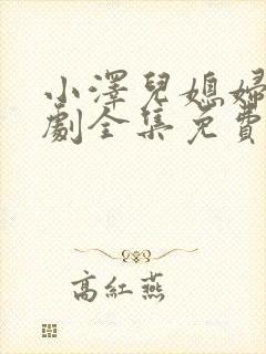 小泽儿媳妇电视剧全集免费观看