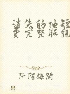 消失的他短剧免费完整版观看封面