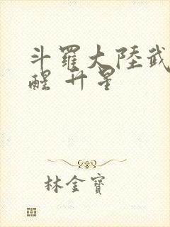 斗罗大陆武魂觉醒 升星