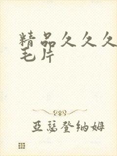 精品久久久久久毛片
