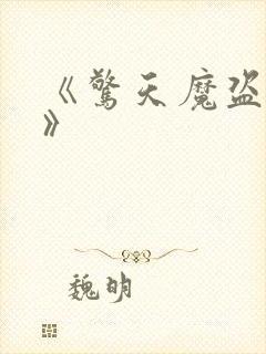 《惊天魔盗团2》