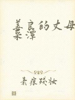 善良的丈母娘李采潭