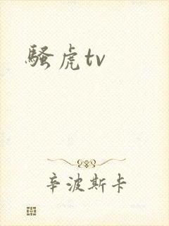 骚虎tv
