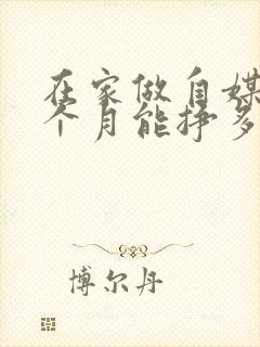 在家做自媒体一个月能挣多少钱