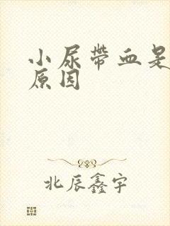 小尿带血是什么原因